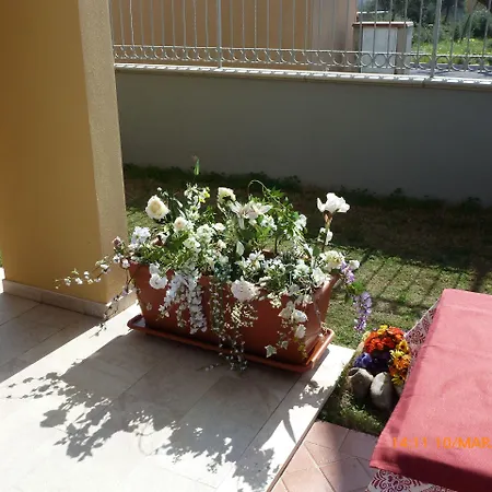 Emozioni D'estate ベッド・アンド・ブレックファスト