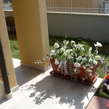 Emozioni D'estate ベッド・アンド・ブレックファスト