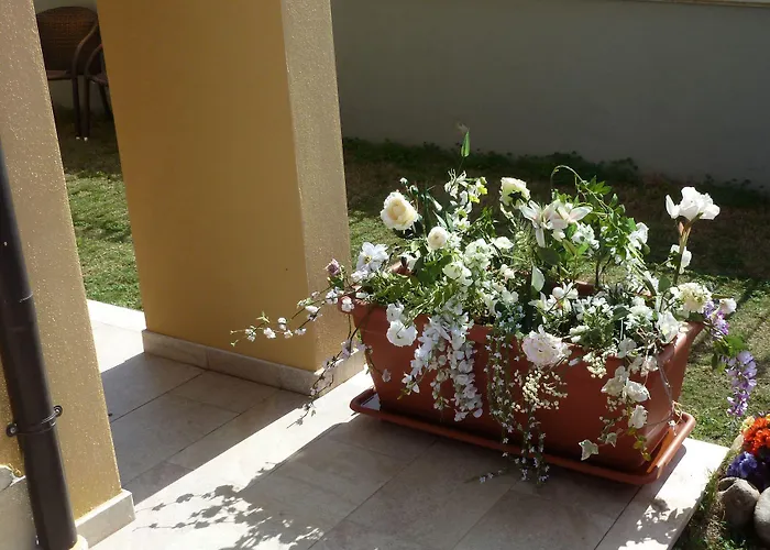 Emozioni D'estate B&B